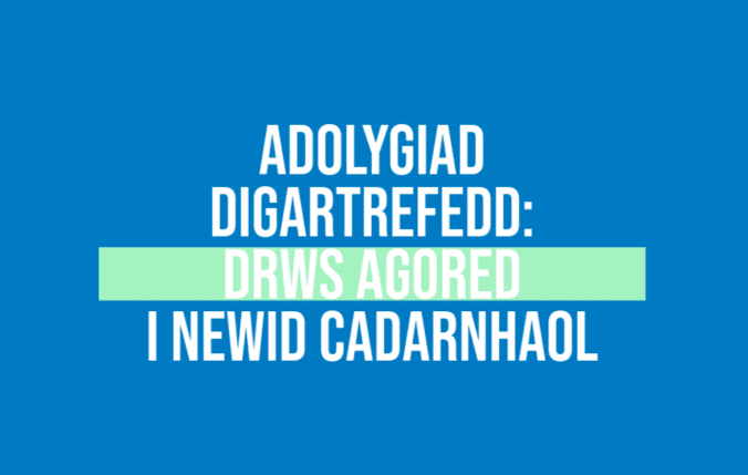 Adolygiad digartrefedd: drws agored i newid cadarnhaol