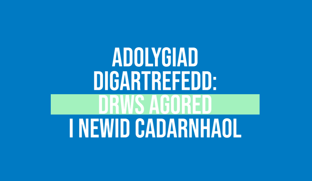 Adolygiad digartrefedd: drws agored i newid cadarnhaol