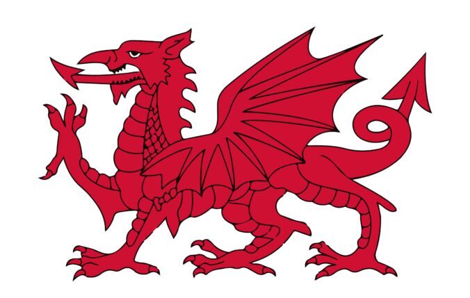 Y ddraig goch