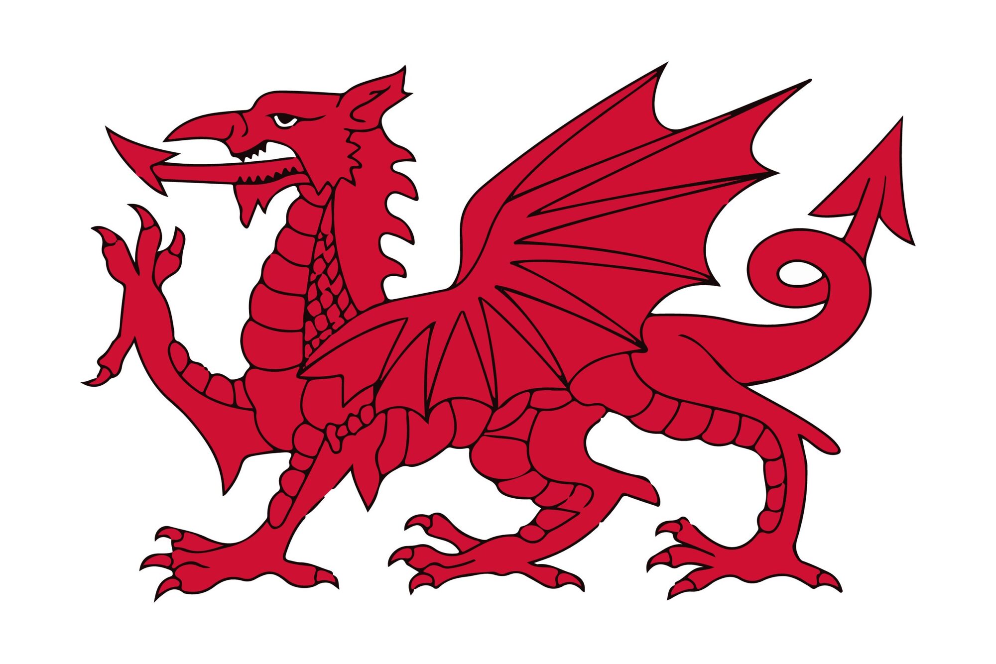 Y ddraig goch
